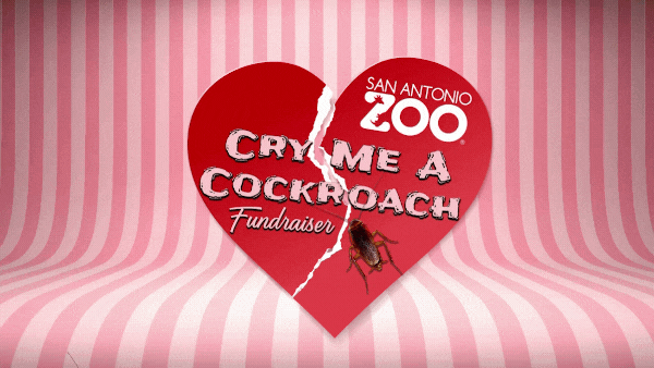 Cry Me a Cockroach Fundraiser