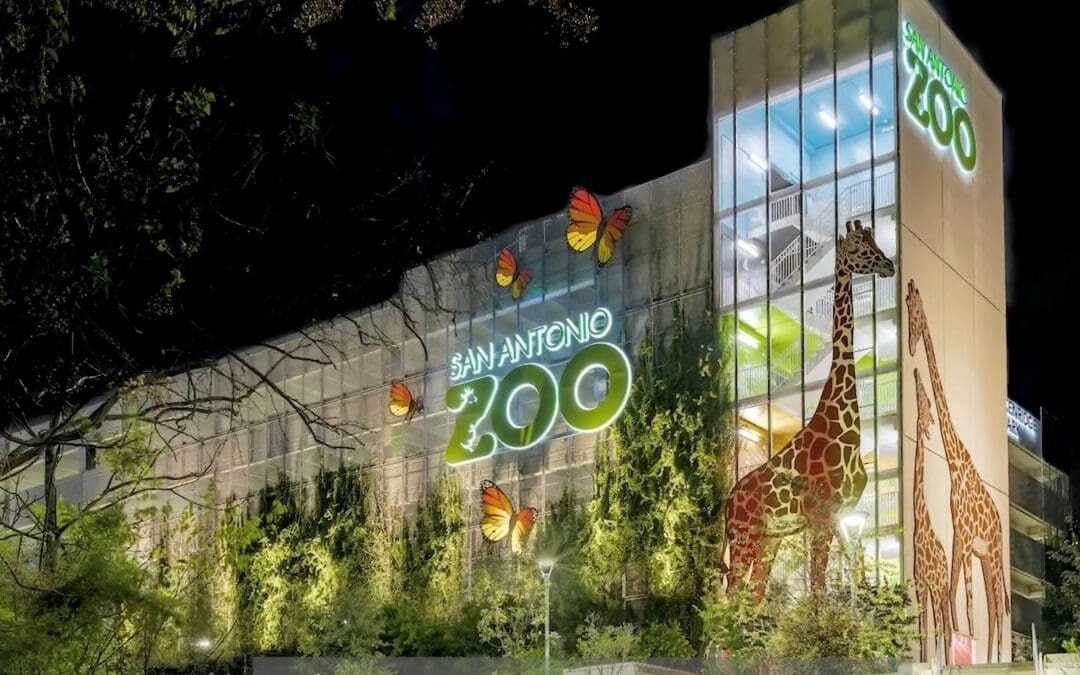#1 Zoo in Texas Awarded to San Antonio Zoo, Again