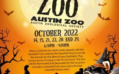 AUZ 1079 Austin Boo At The Zoo 2022 Flyer HR 77  400x250 