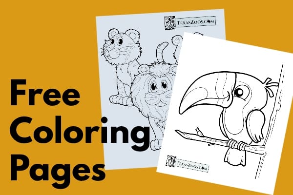 zoo-animals-2-free-coloring-printables-for-kids-texas-zoos