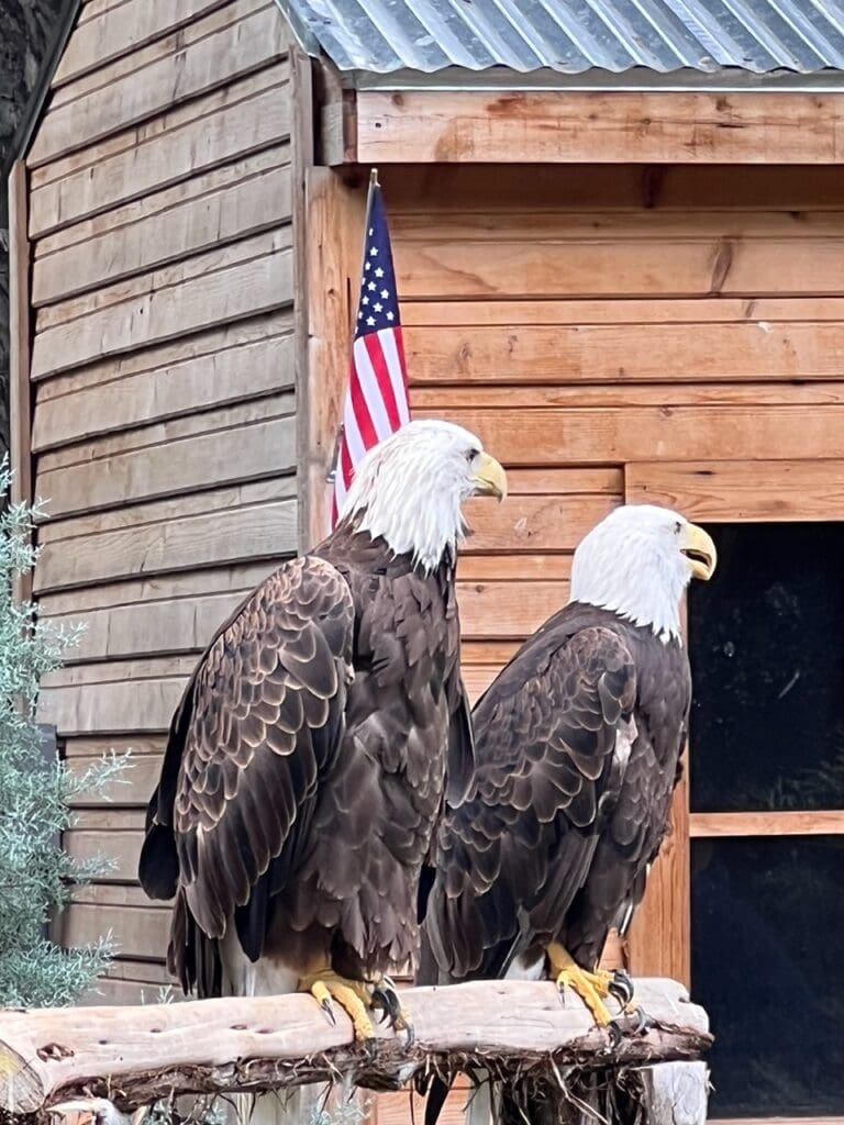 San Antonio Zoo - Texas Zoos